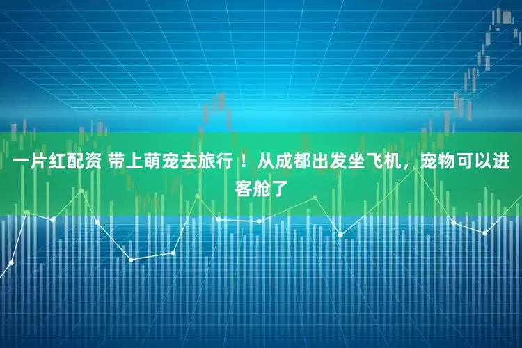 一片红配资 带上萌宠去旅行 ！从成都出发坐飞机，宠物可以进客舱了