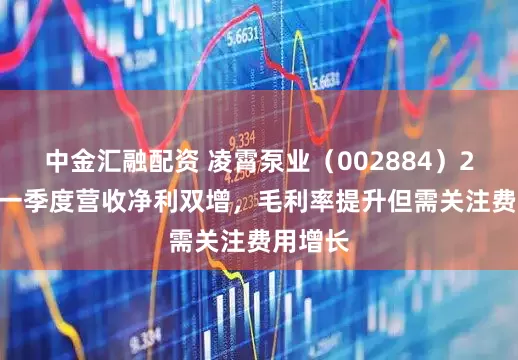 中金汇融配资 凌霄泵业（002884）2025年一季度营收净利双增，毛利率提升但需关注费用增长