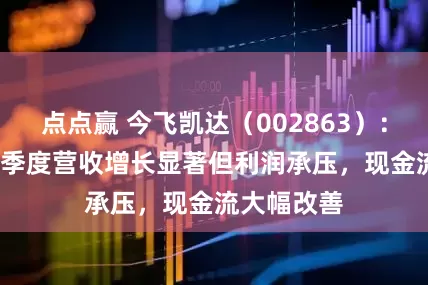 点点赢 今飞凯达（002863）：2025年一季度营收增长显著但利润承压，现金流大幅改善